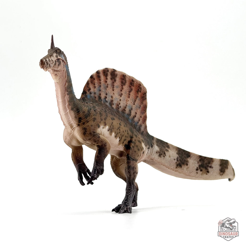 Haolonggood Spinosaurus Mirabilis Dinosaur Figure (PRE-ORDER)