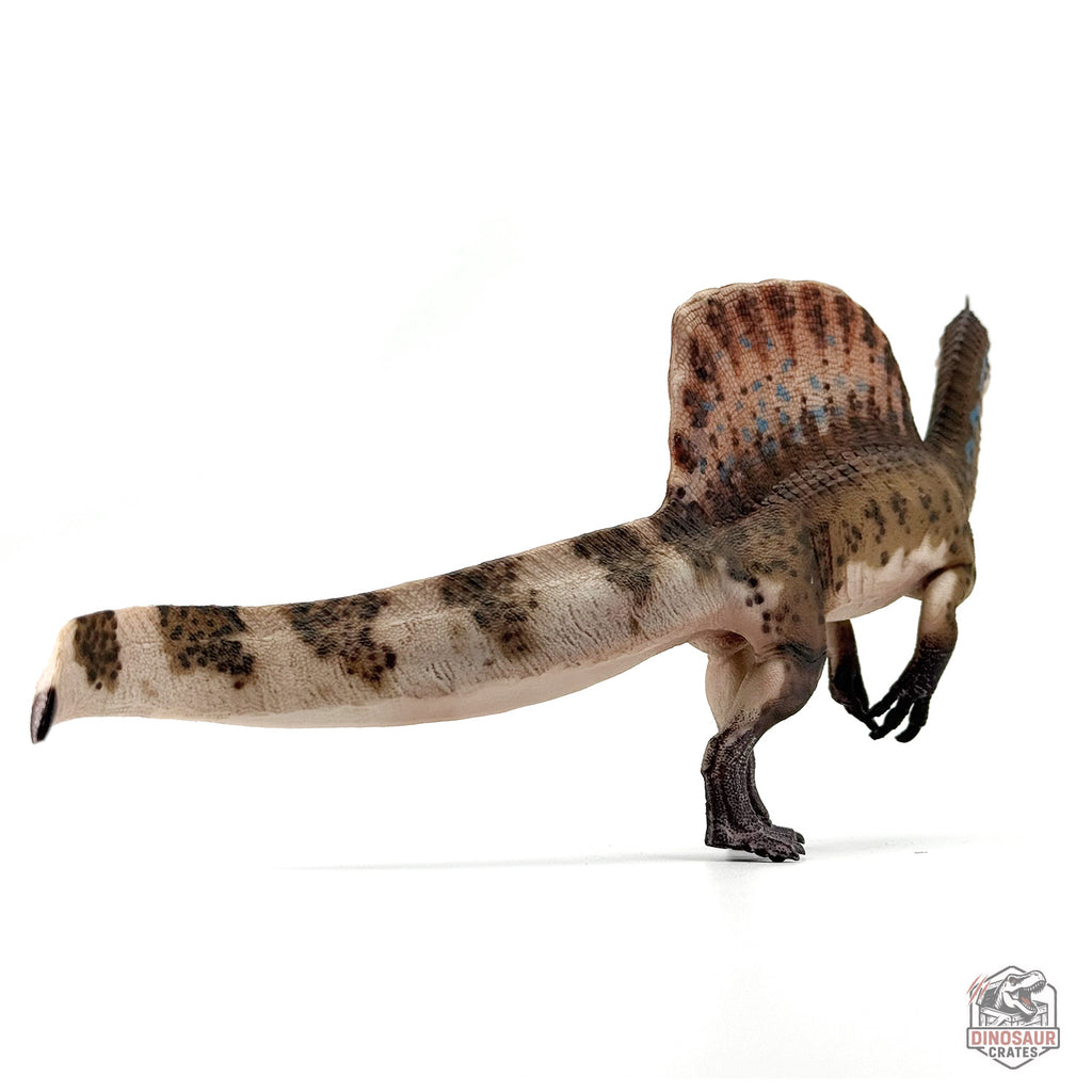 Haolonggood Spinosaurus Mirabilis Dinosaur Figure (PRE-ORDER)