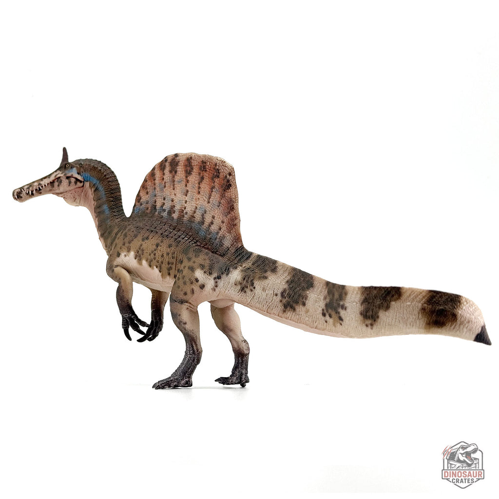 Haolonggood Spinosaurus Mirabilis Dinosaur Figure (PRE-ORDER)