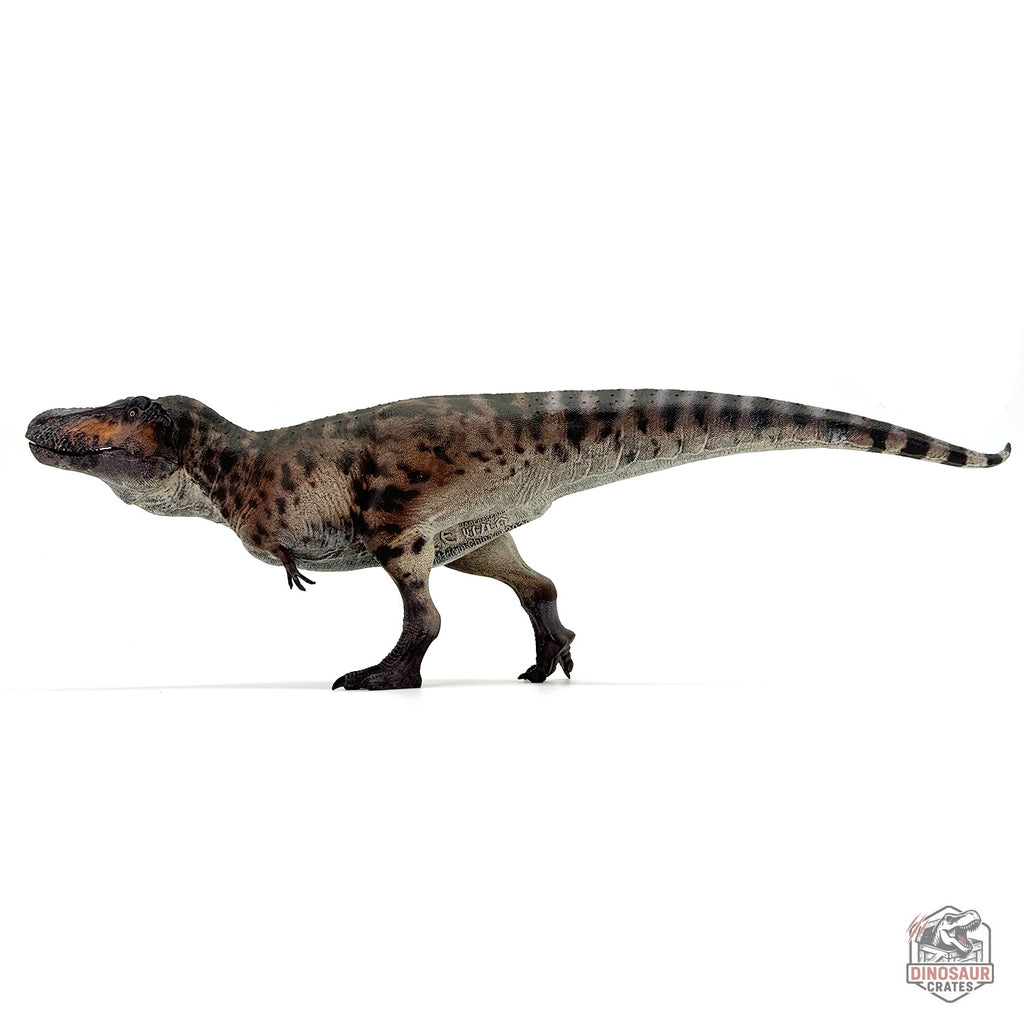 Haolonggood Tyrannosaurus Rex 3.0 Dinosaur Figure (PRE-ORDER)