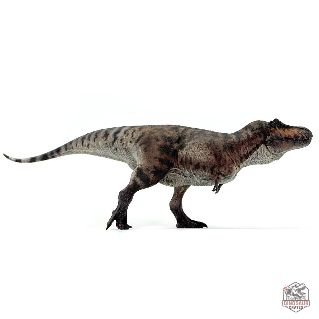 Haolonggood Tyrannosaurus Rex 3.0 Dinosaur Figure (PRE-ORDER)