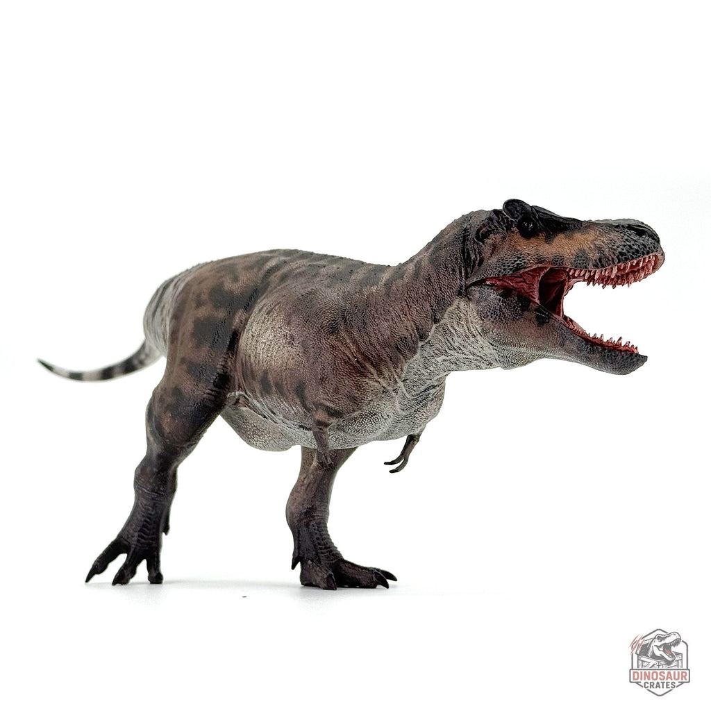 Haolonggood Tyrannosaurus Rex 3.0 Dinosaur Figure (PRE-ORDER)