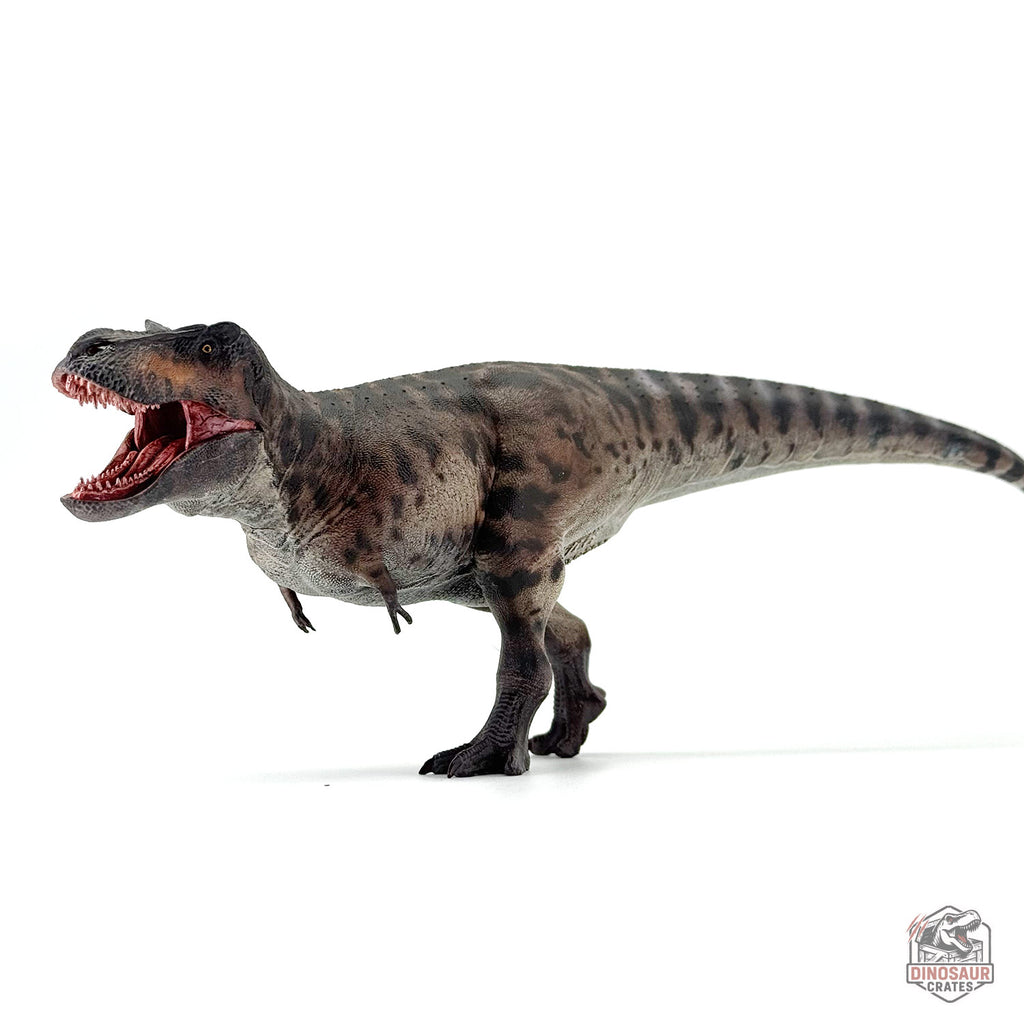 Haolonggood Tyrannosaurus Rex 3.0 Dinosaur Figure (PRE-ORDER)