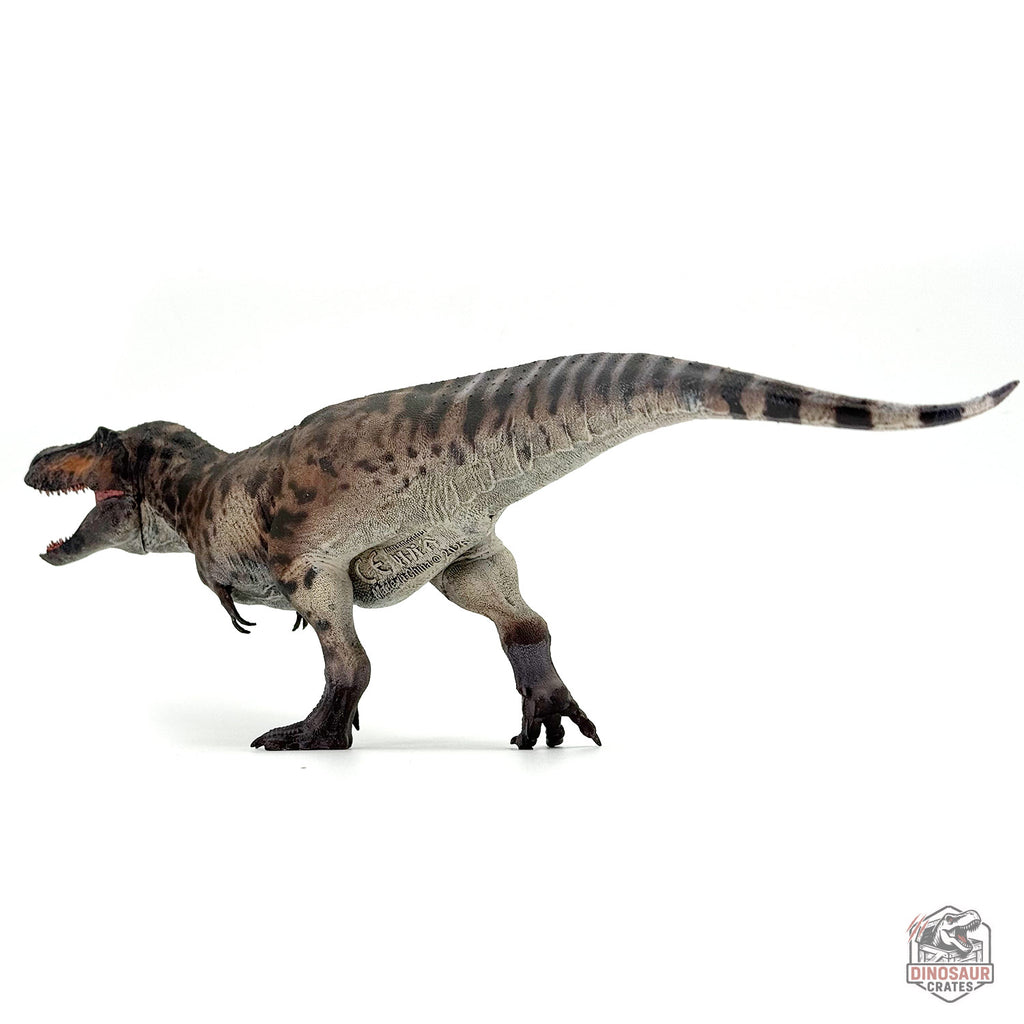 Haolonggood Tyrannosaurus Rex 3.0 Dinosaur Figure (PRE-ORDER)