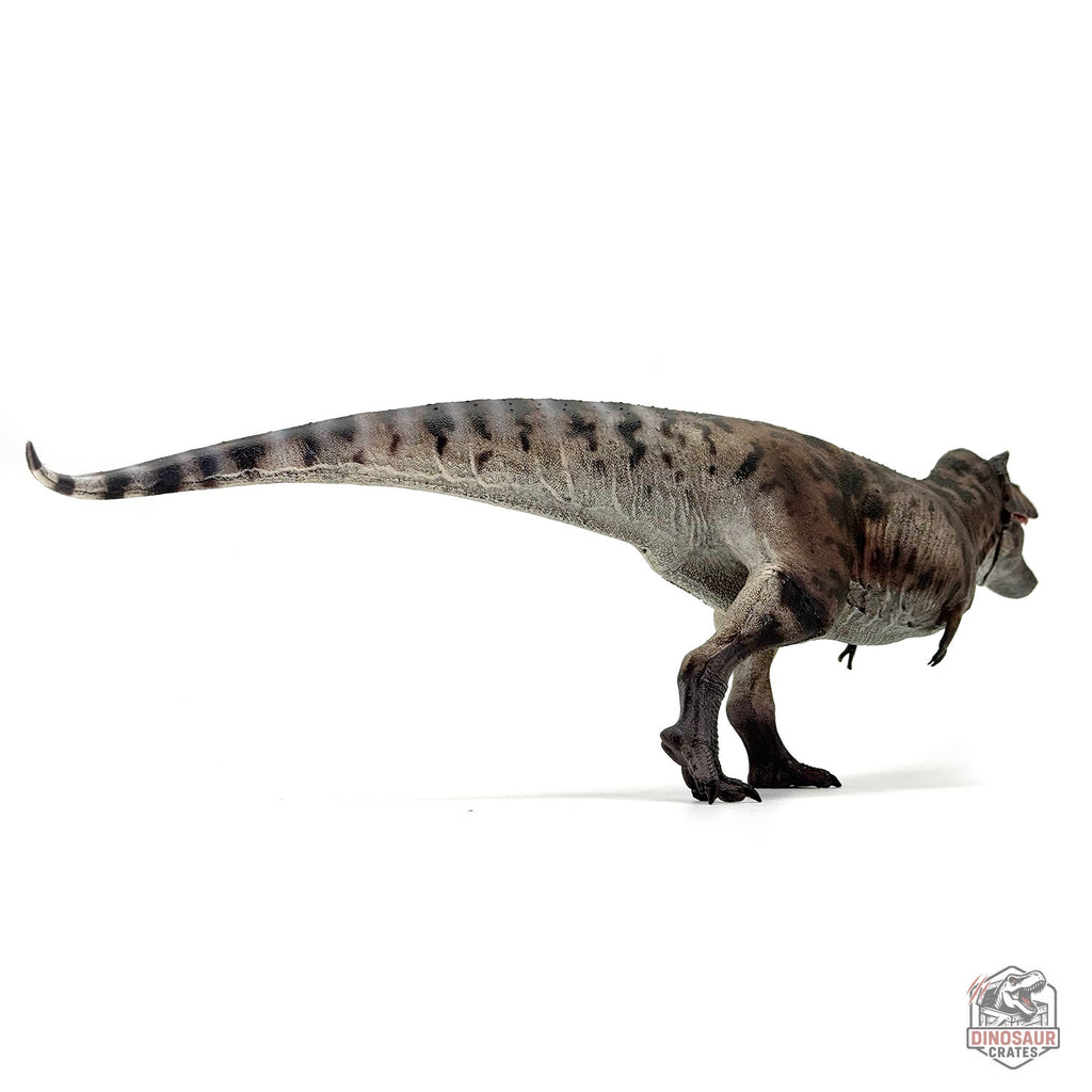 Haolonggood Tyrannosaurus Rex 3.0 Dinosaur Figure (PRE-ORDER)