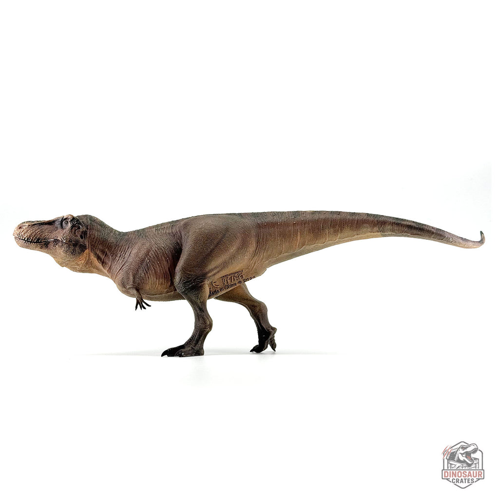 Haolonggood Tyrannosaurus Rex 3.0 Dinosaur Figure (PRE-ORDER)