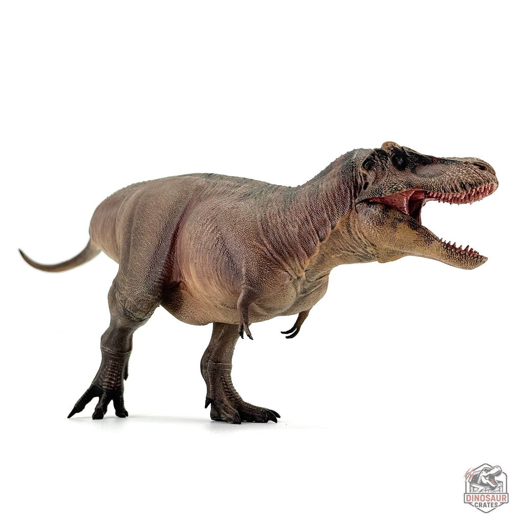 Haolonggood Tyrannosaurus Rex 3.0 Dinosaur Figure (PRE-ORDER)