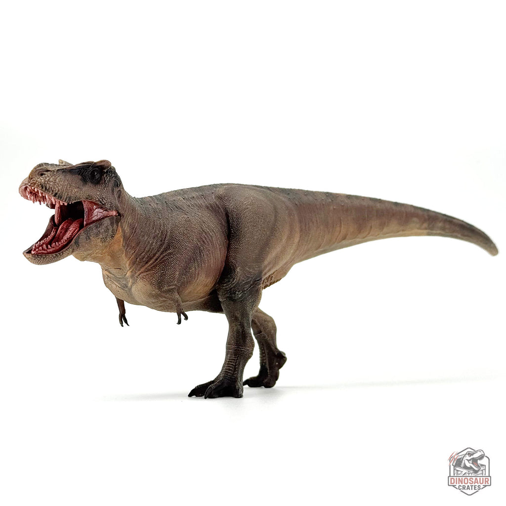 Haolonggood Tyrannosaurus Rex 3.0 Dinosaur Figure (PRE-ORDER)