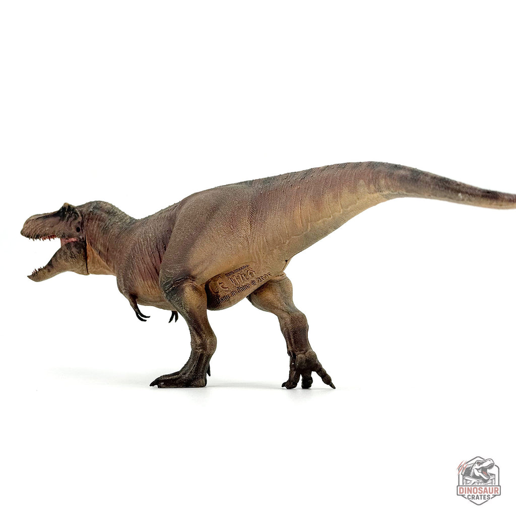 Haolonggood Tyrannosaurus Rex 3.0 Dinosaur Figure (PRE-ORDER)