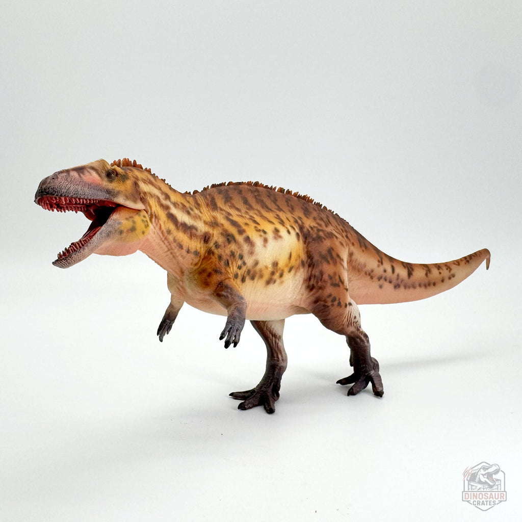 Haolonggood Acrocanthosaurus Dinosaur Figure
