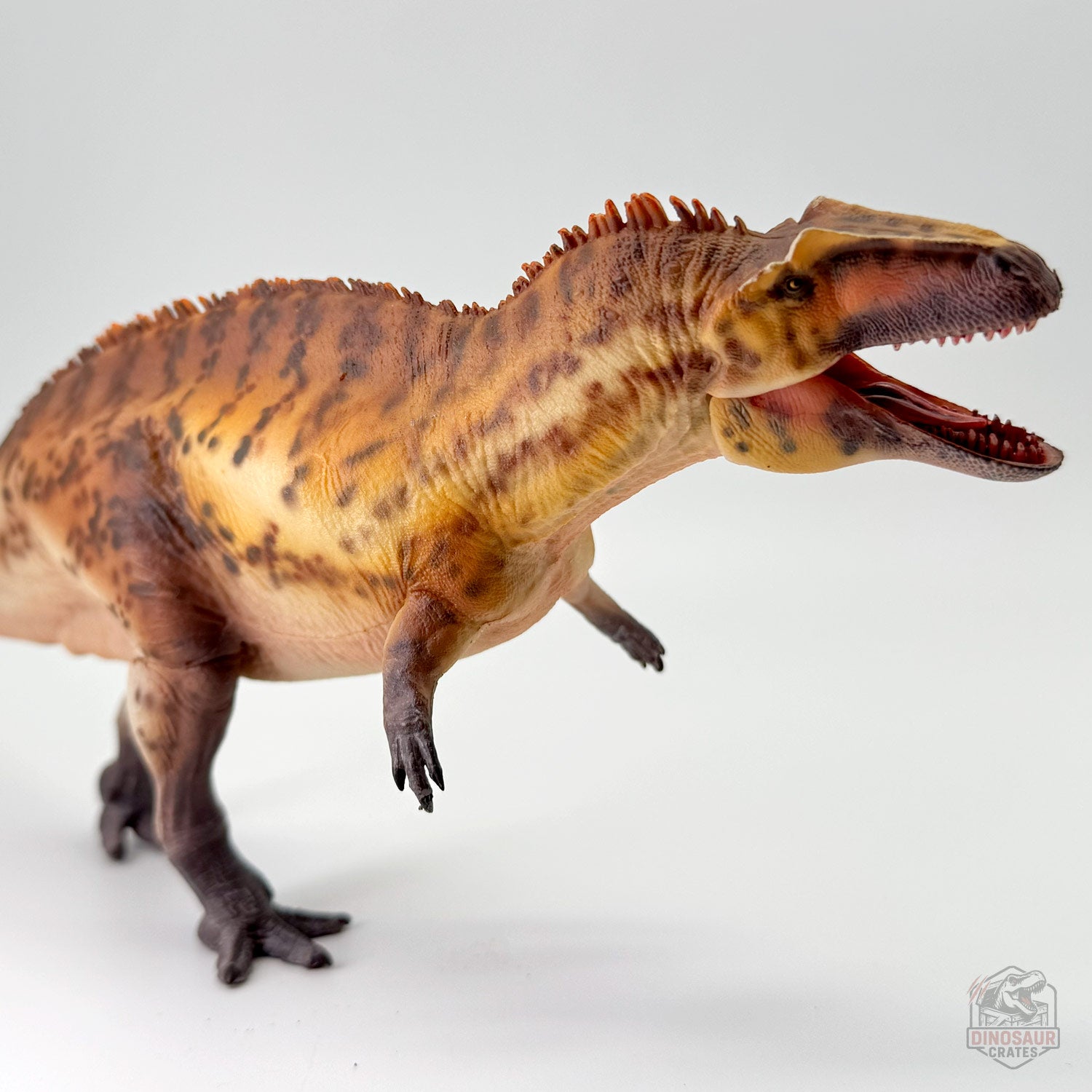 Haolonggood Acrocanthosaurus Dinosaur Figure