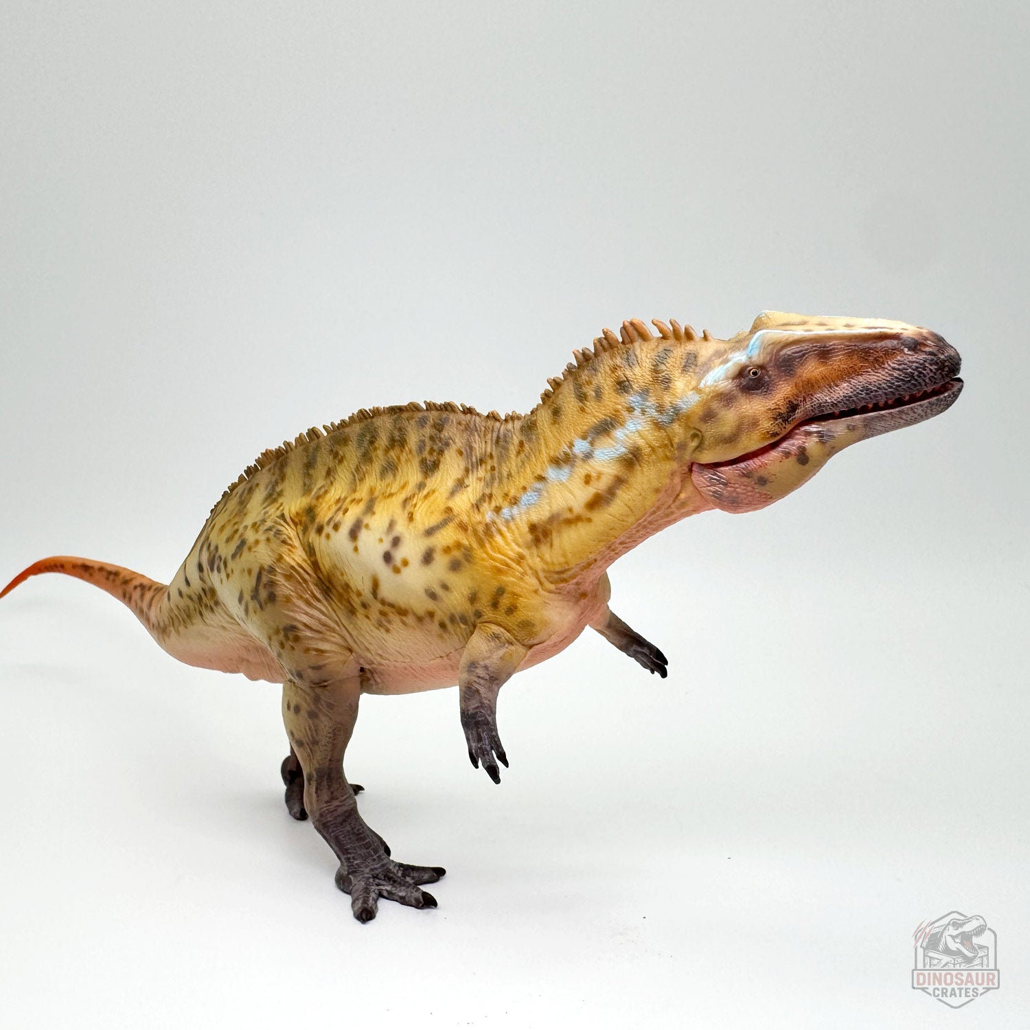 Haolonggood Acrocanthosaurus Dinosaur Figure