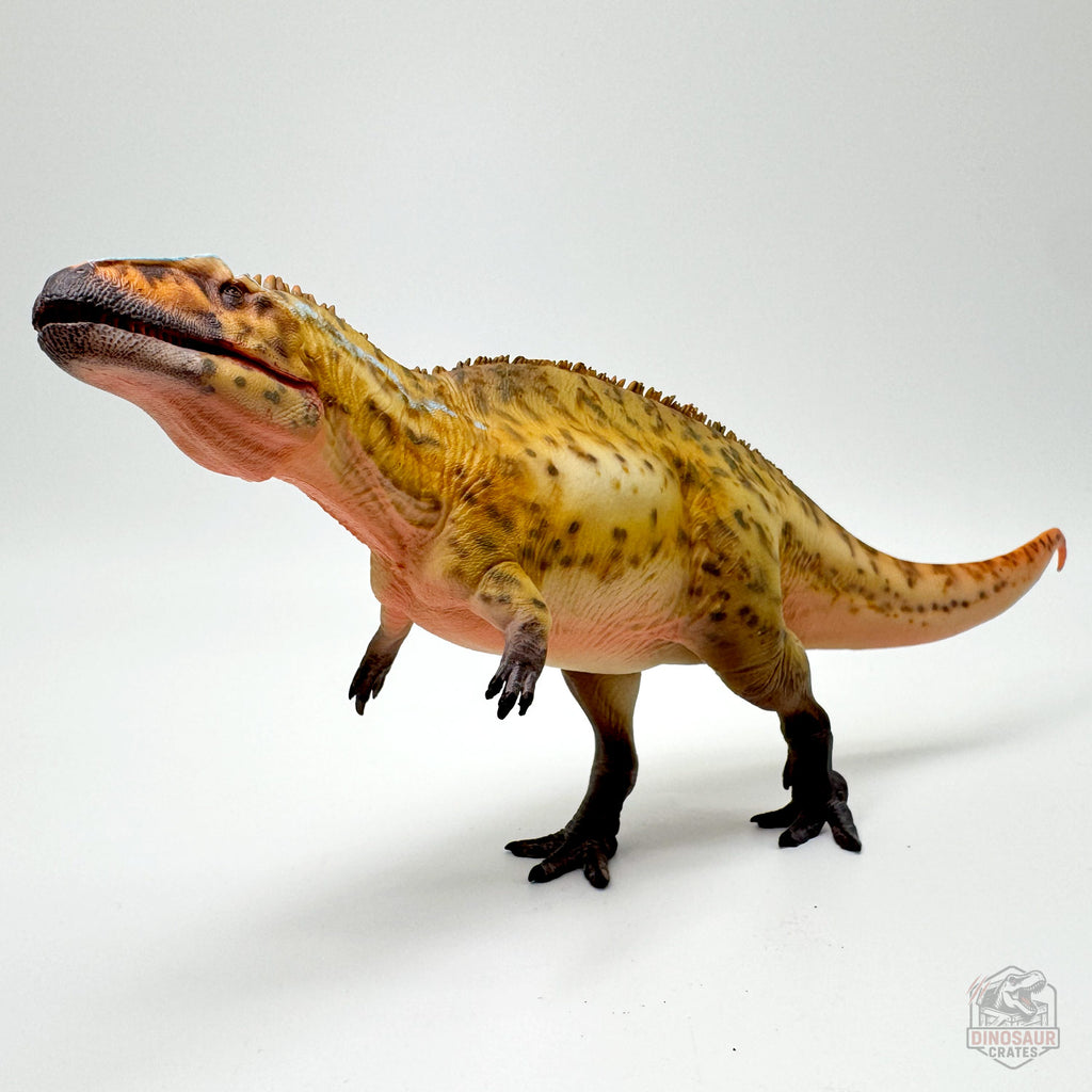 Haolonggood Acrocanthosaurus Dinosaur Figure