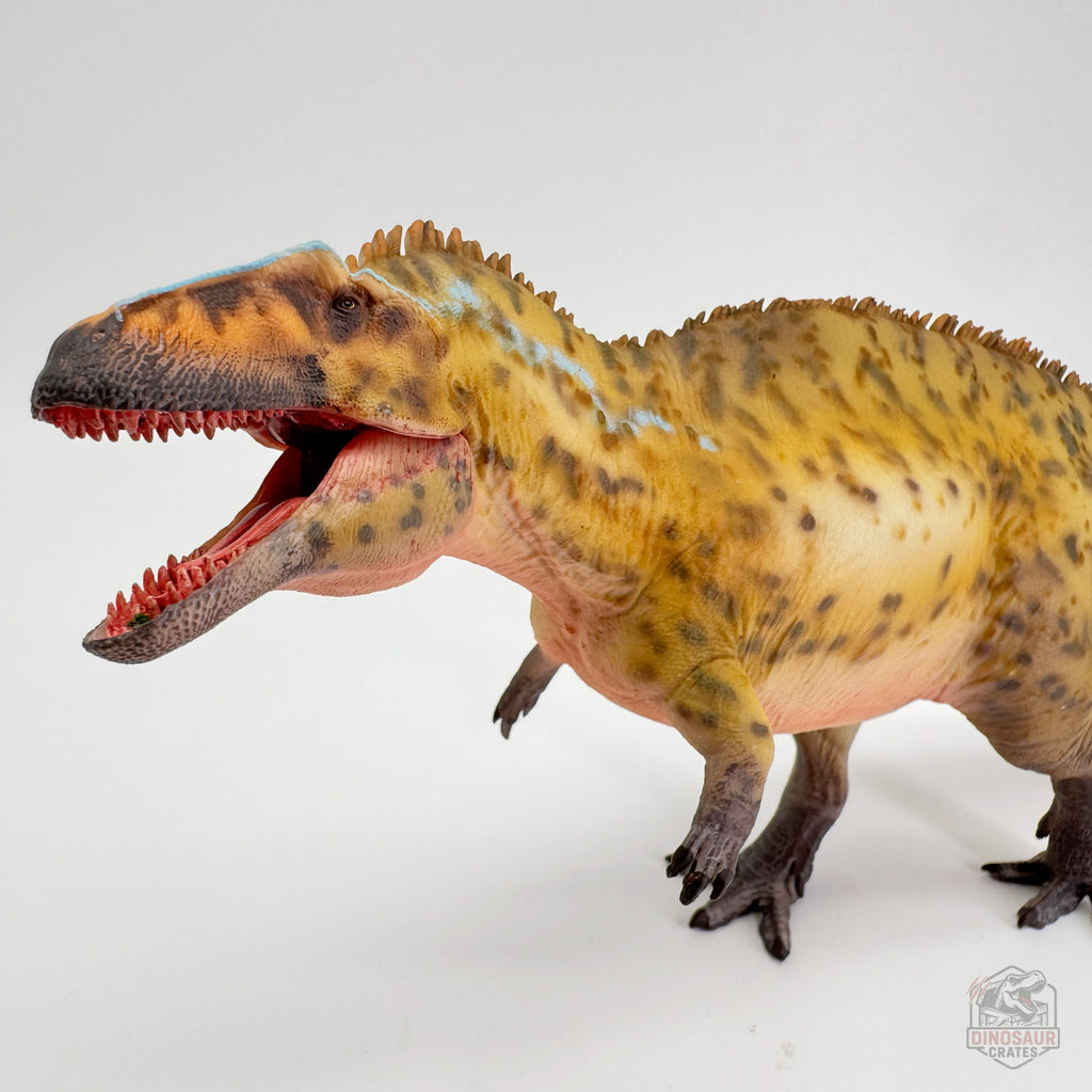 Haolonggood Acrocanthosaurus Dinosaur Figure