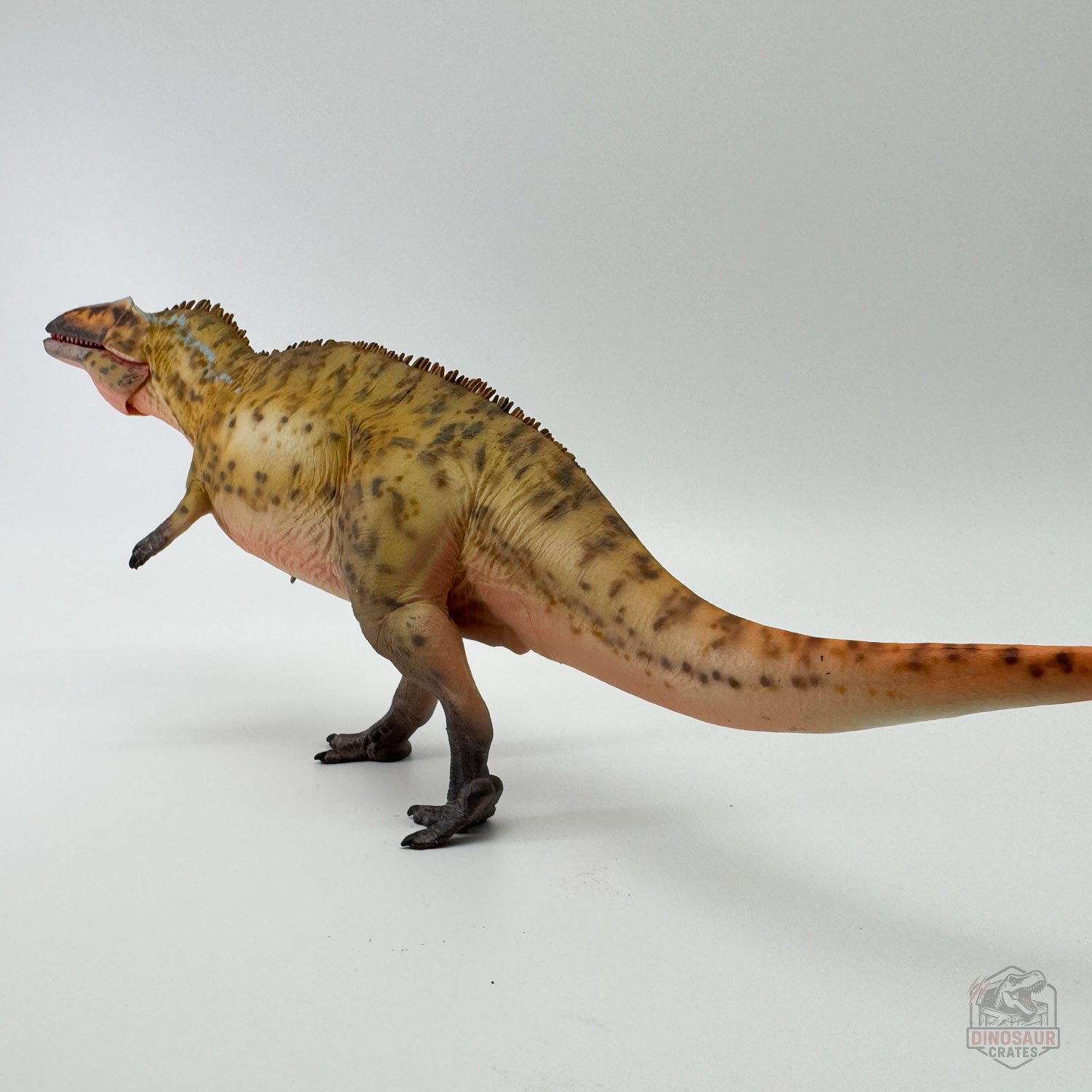 Haolonggood Acrocanthosaurus Dinosaur Figure