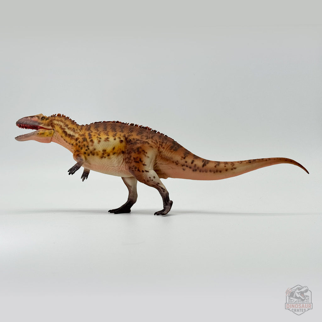 Haolonggood Acrocanthosaurus Dinosaur Figure