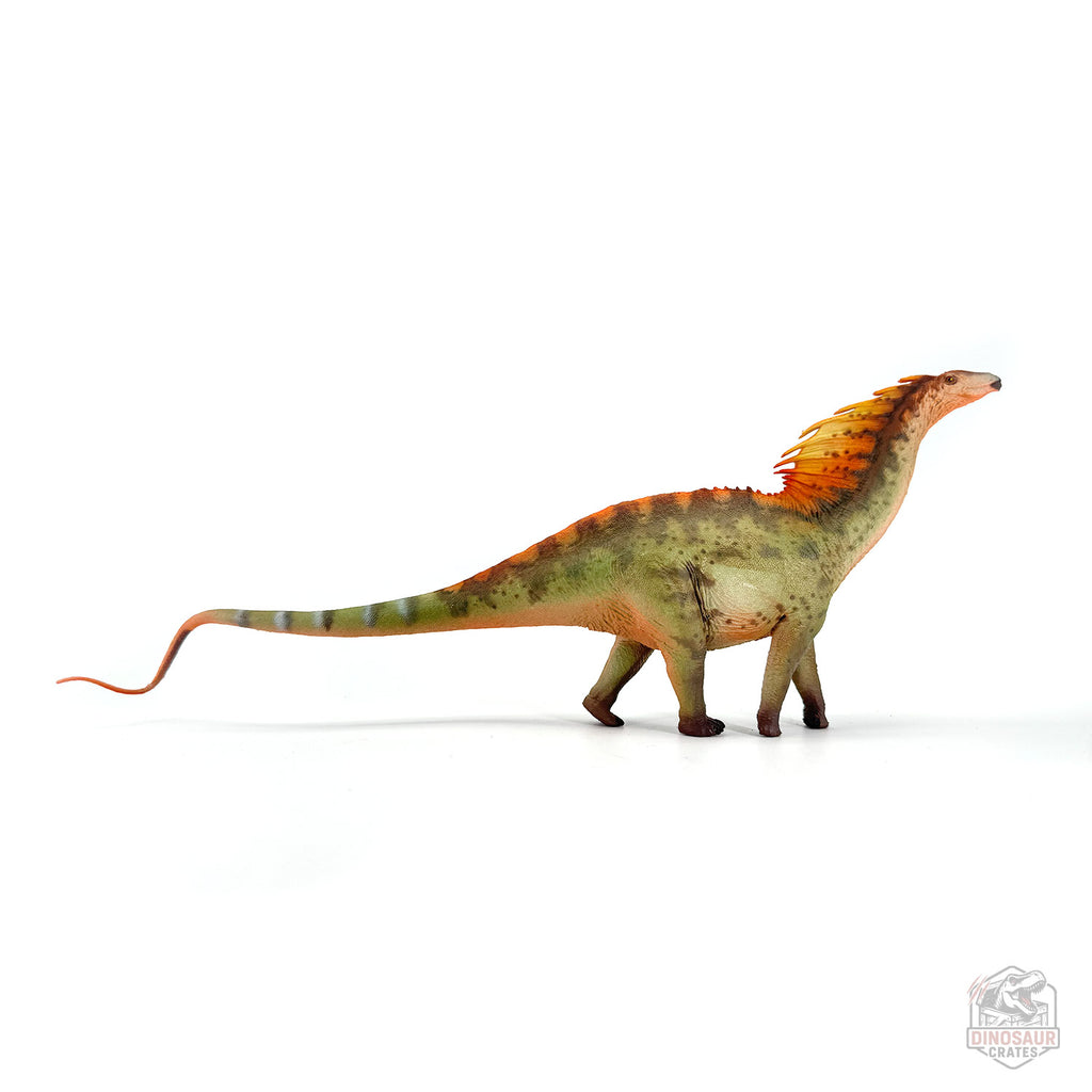 Haolonggood Amargasaurus Dinosaur Figure