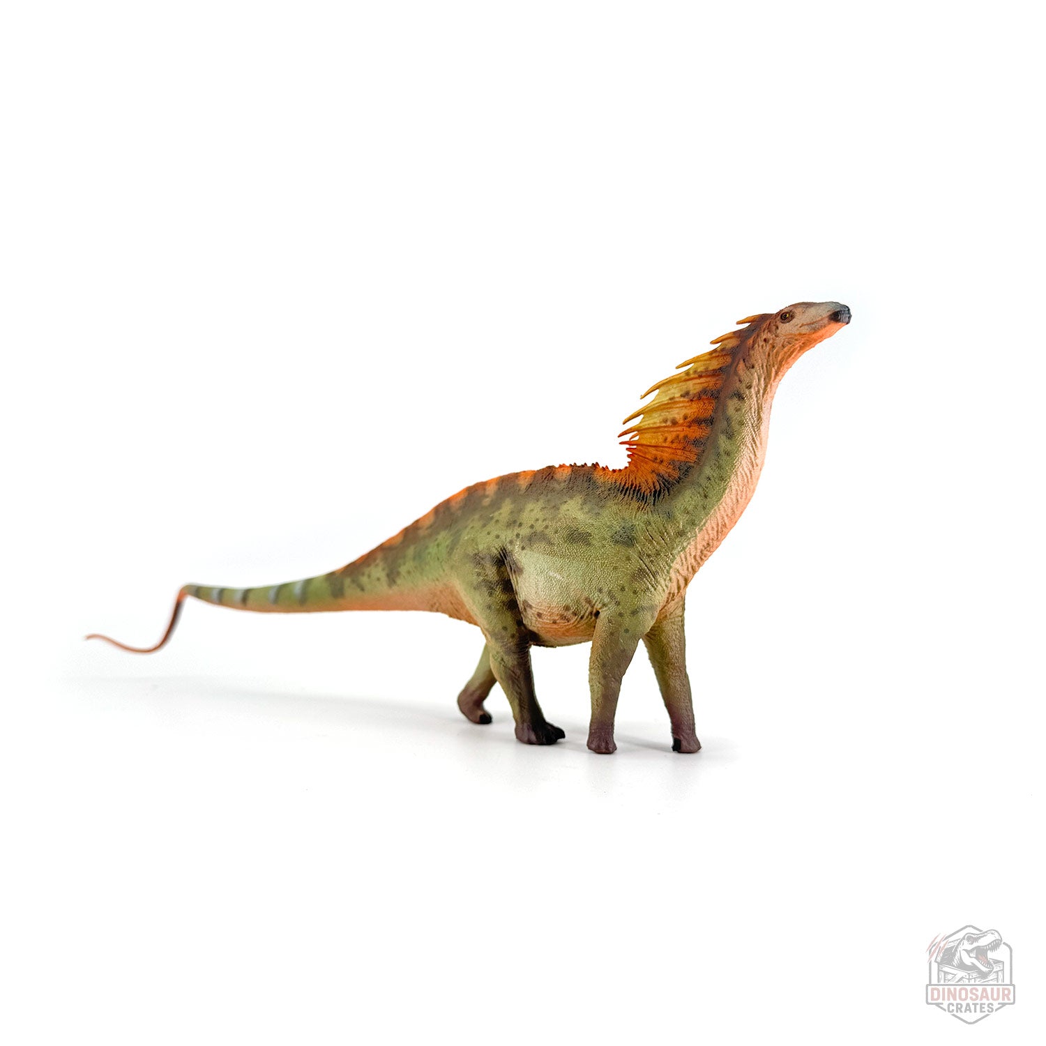 Haolonggood Amargasaurus Dinosaur Figure
