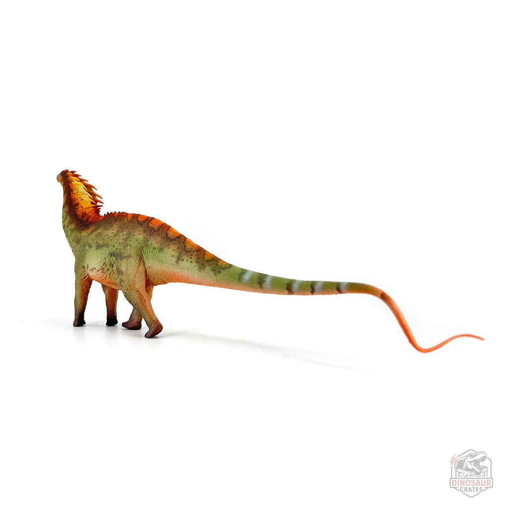 Haolonggood Amargasaurus Dinosaur Figure