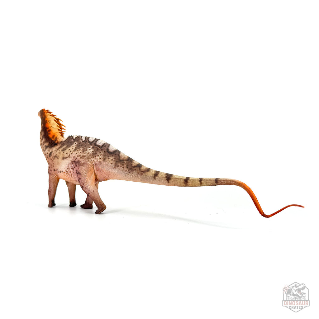 Haolonggood Amargasaurus Dinosaur Figure