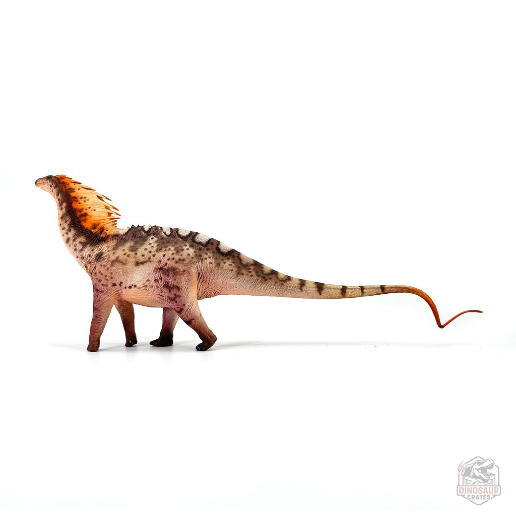 Haolonggood Amargasaurus Dinosaur Figure