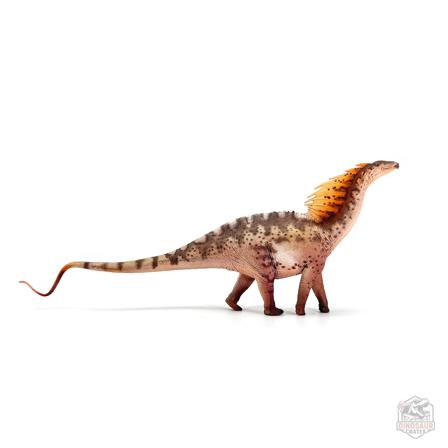Haolonggood Amargasaurus Dinosaur Figure