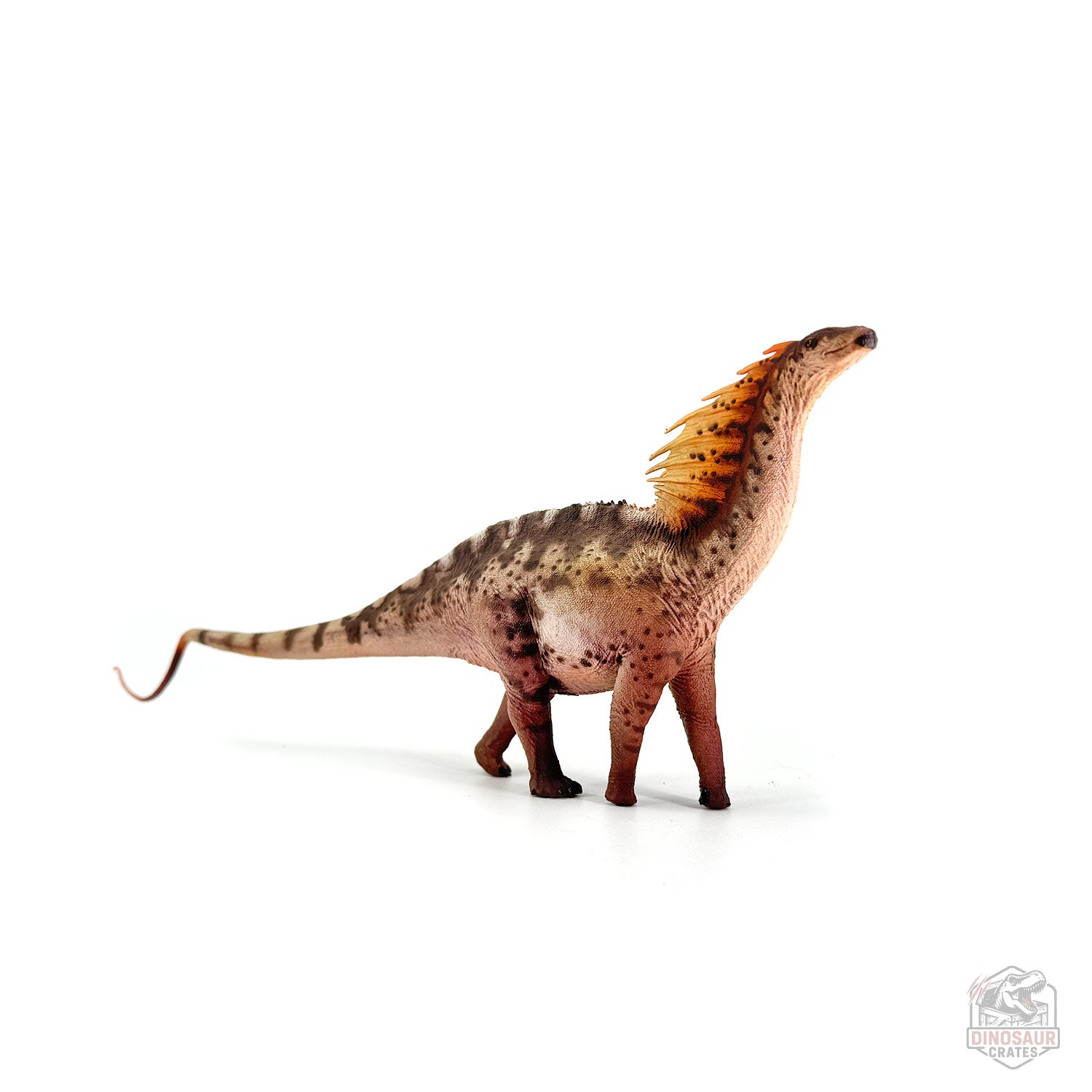 Haolonggood Amargasaurus Dinosaur Figure