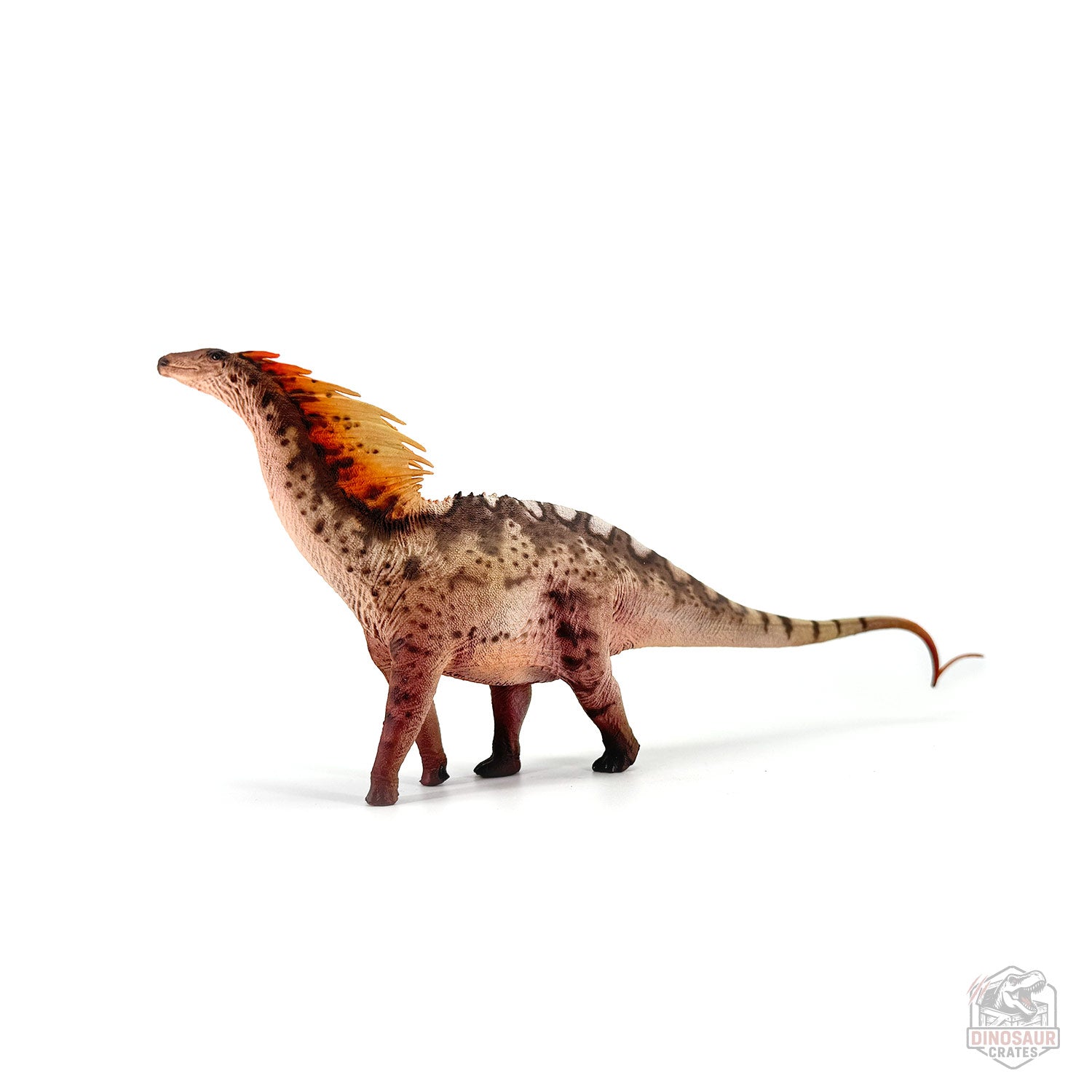 Haolonggood Amargasaurus Dinosaur Figure