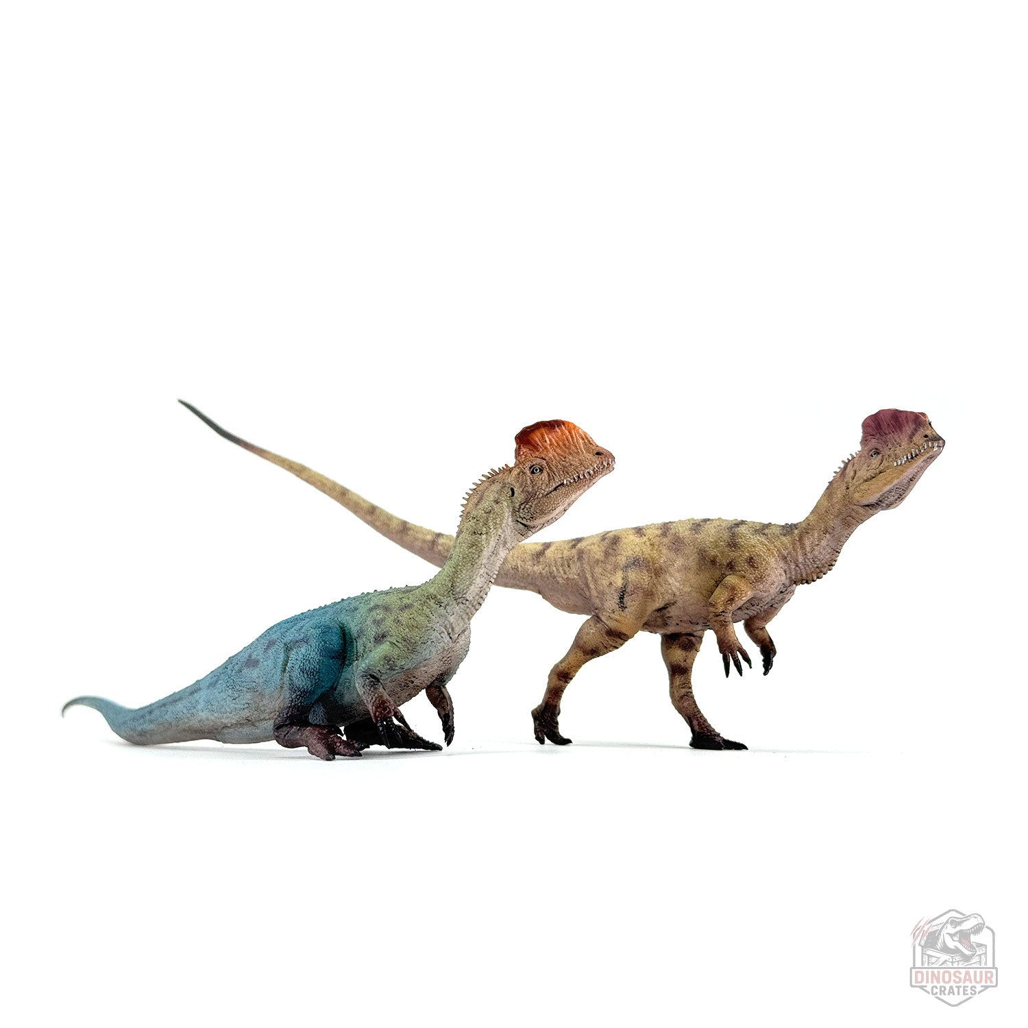 Haolonggood Dilophosaurus Dinosaur Figure