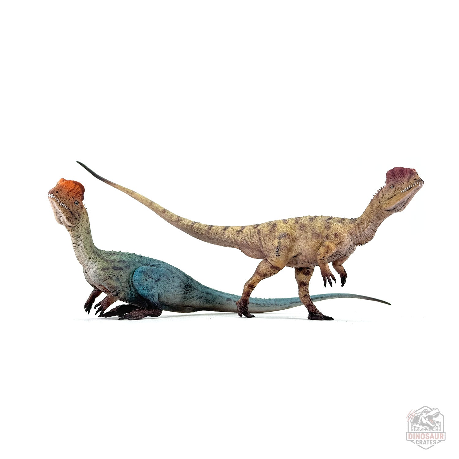 Haolonggood Dilophosaurus Dinosaur Figure