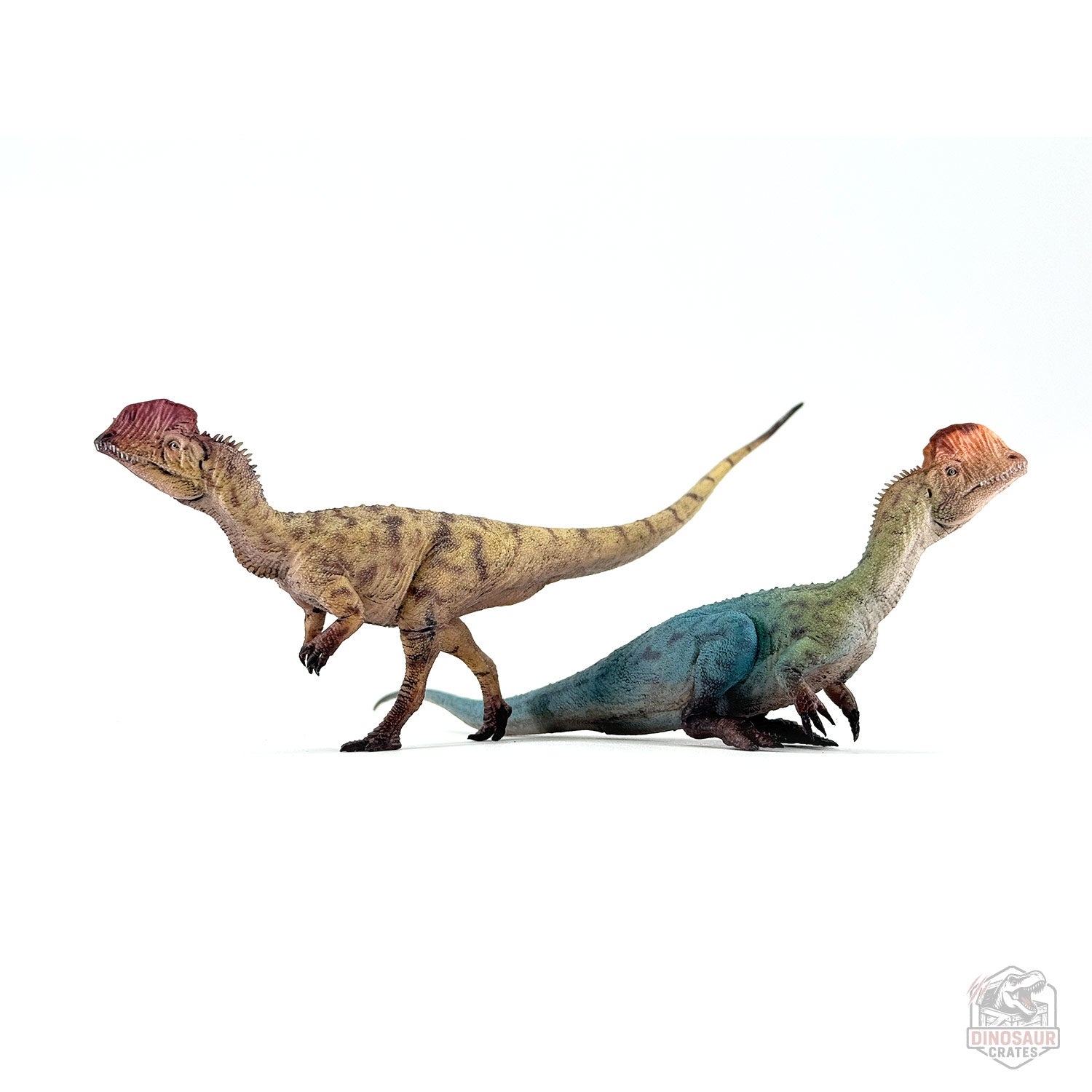Haolonggood Dilophosaurus Dinosaur Figure