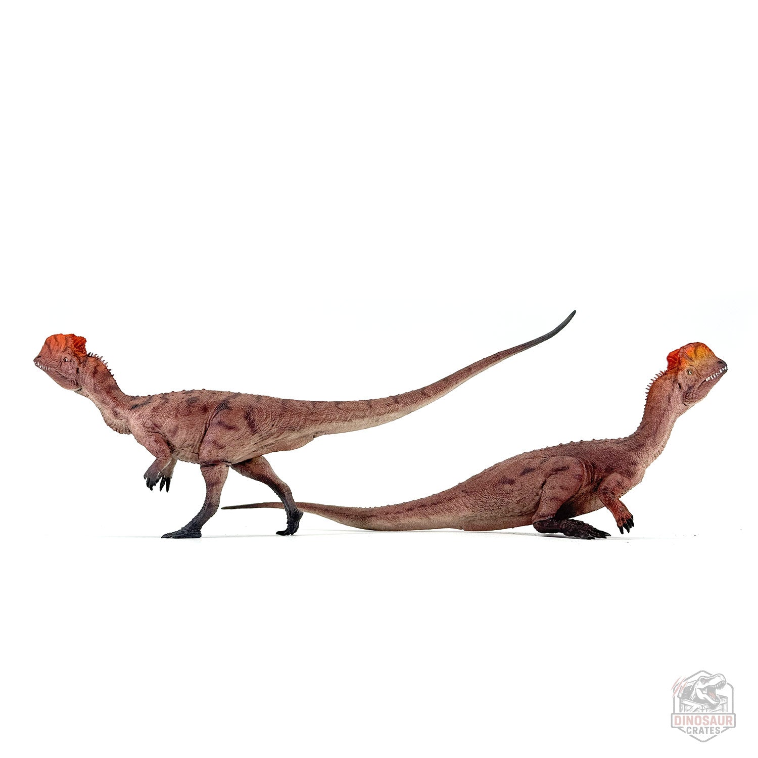 Haolonggood Dilophosaurus Dinosaur Figure