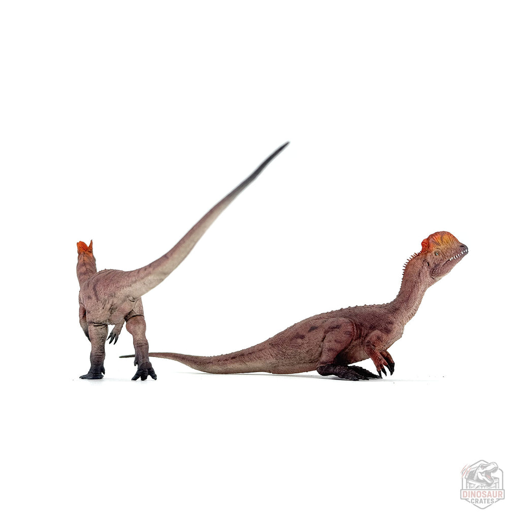 Haolonggood Dilophosaurus Dinosaur Figure