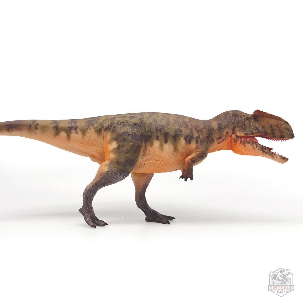 Haolonggood Giganotosaurus Dinosaur Figure
