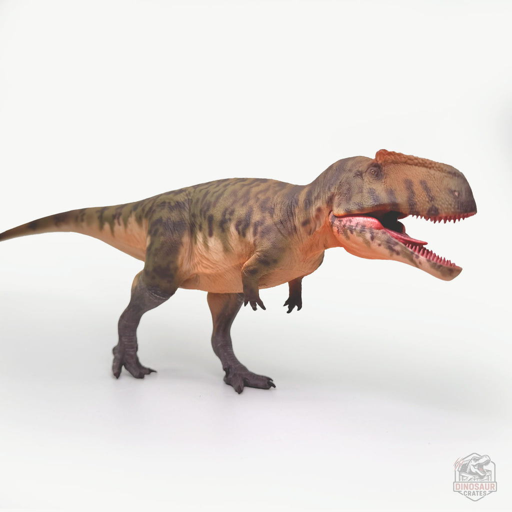 Haolonggood Giganotosaurus Dinosaur Figure