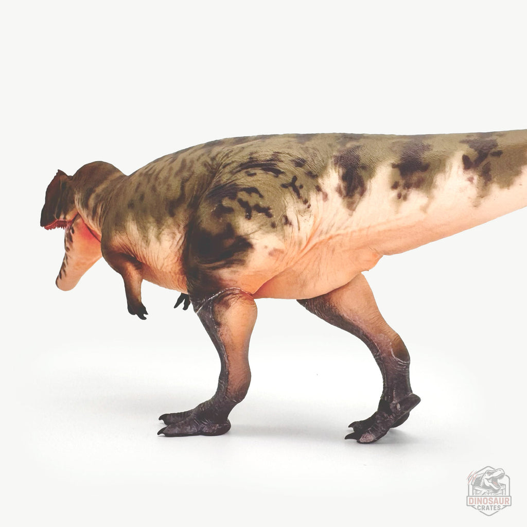 Haolonggood Giganotosaurus Dinosaur Figure