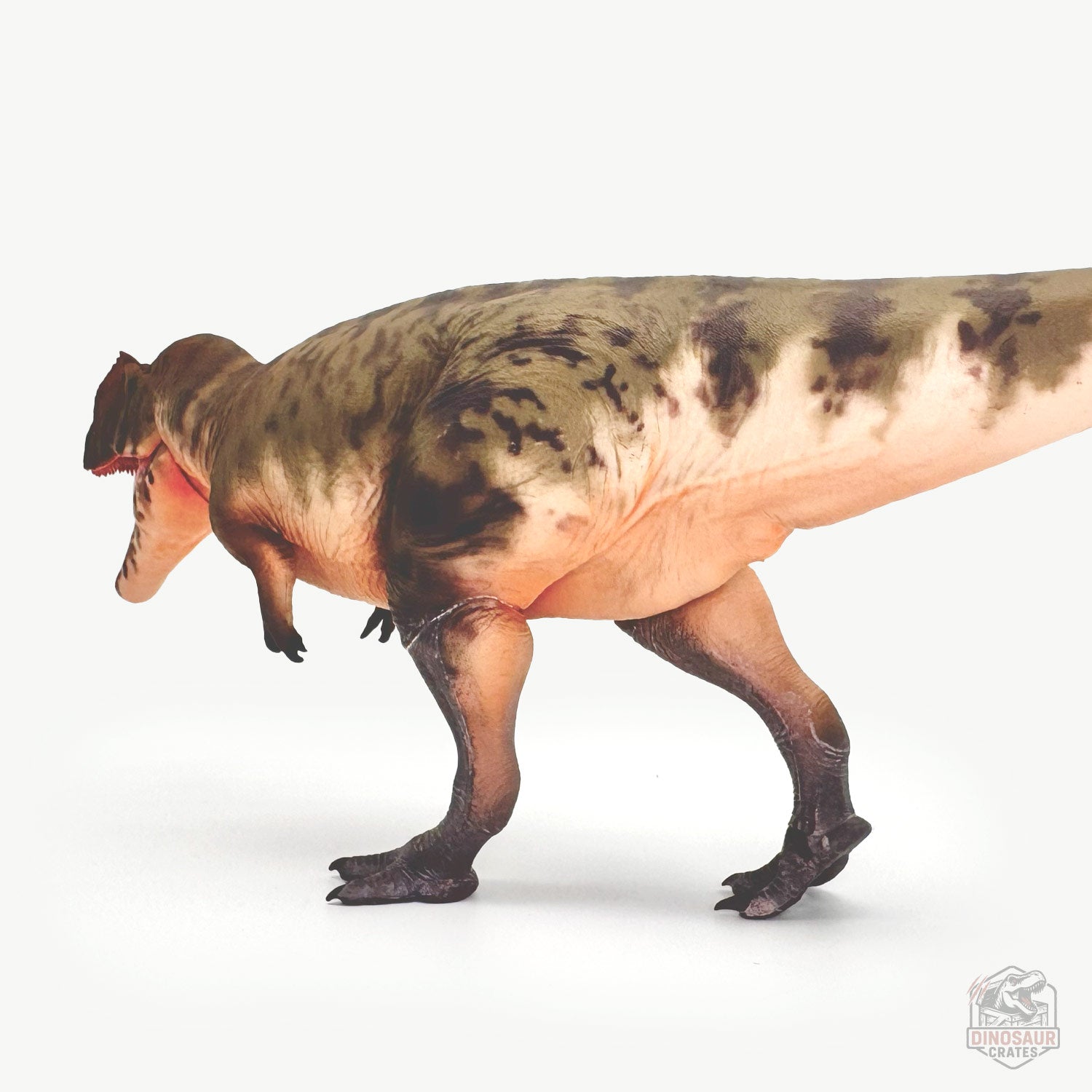 Haolonggood Giganotosaurus Dinosaur Figure