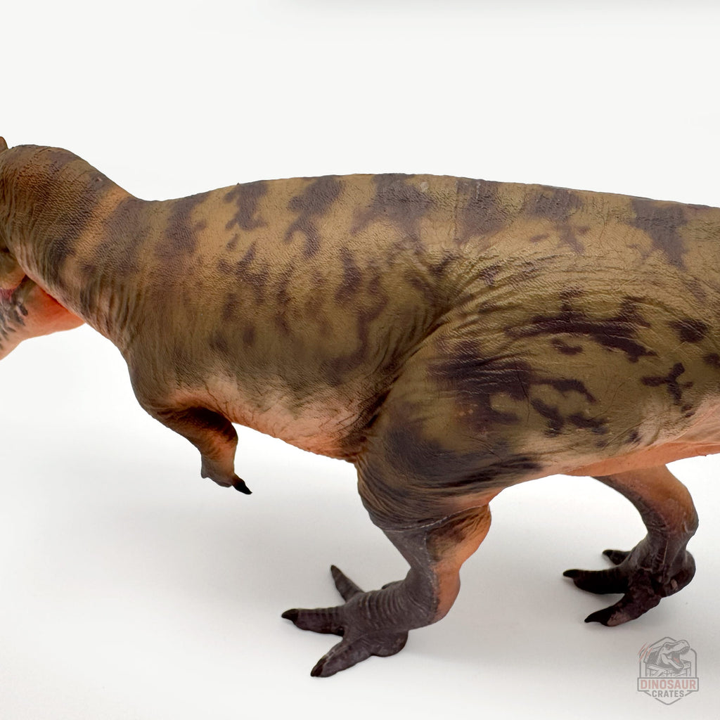 Haolonggood Giganotosaurus Dinosaur Figure