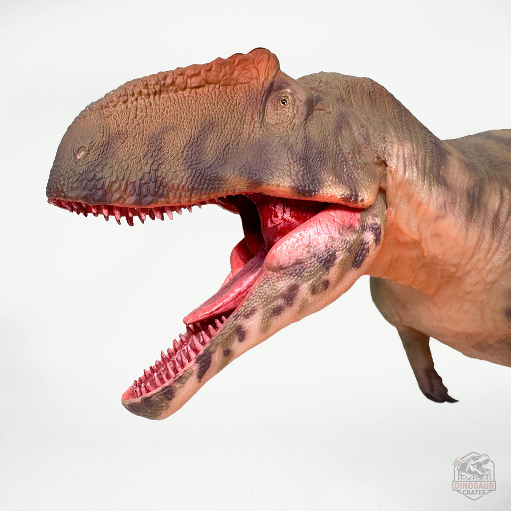 Haolonggood Giganotosaurus Dinosaur Figure