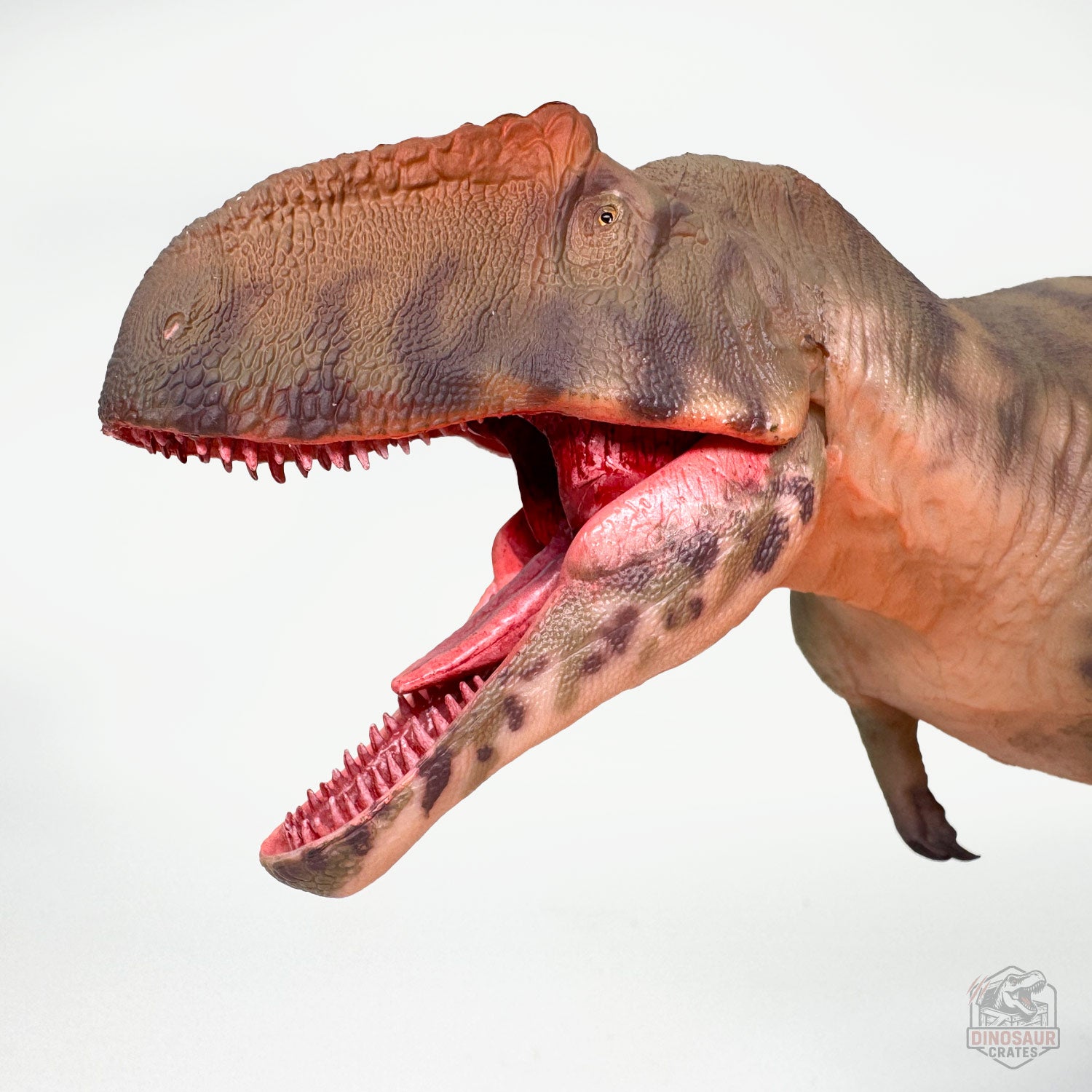 Haolonggood Giganotosaurus Dinosaur Figure