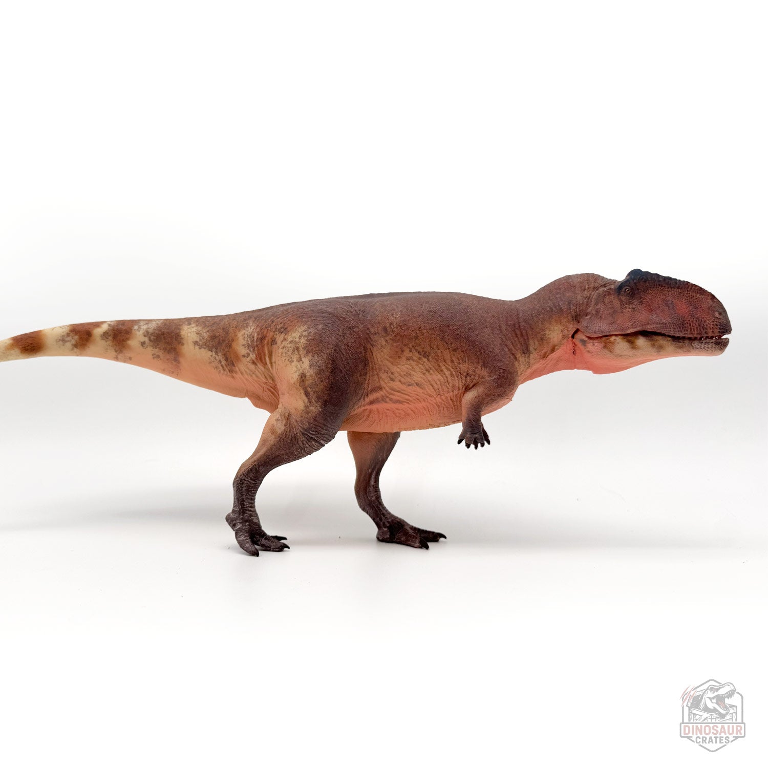 Haolonggood Giganotosaurus Dinosaur Figure
