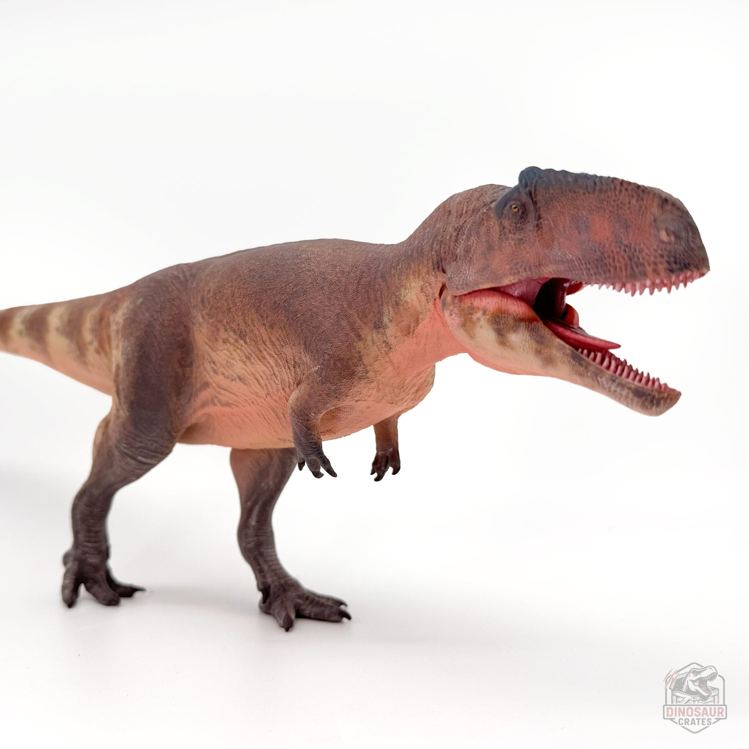 Haolonggood Giganotosaurus Dinosaur Figure