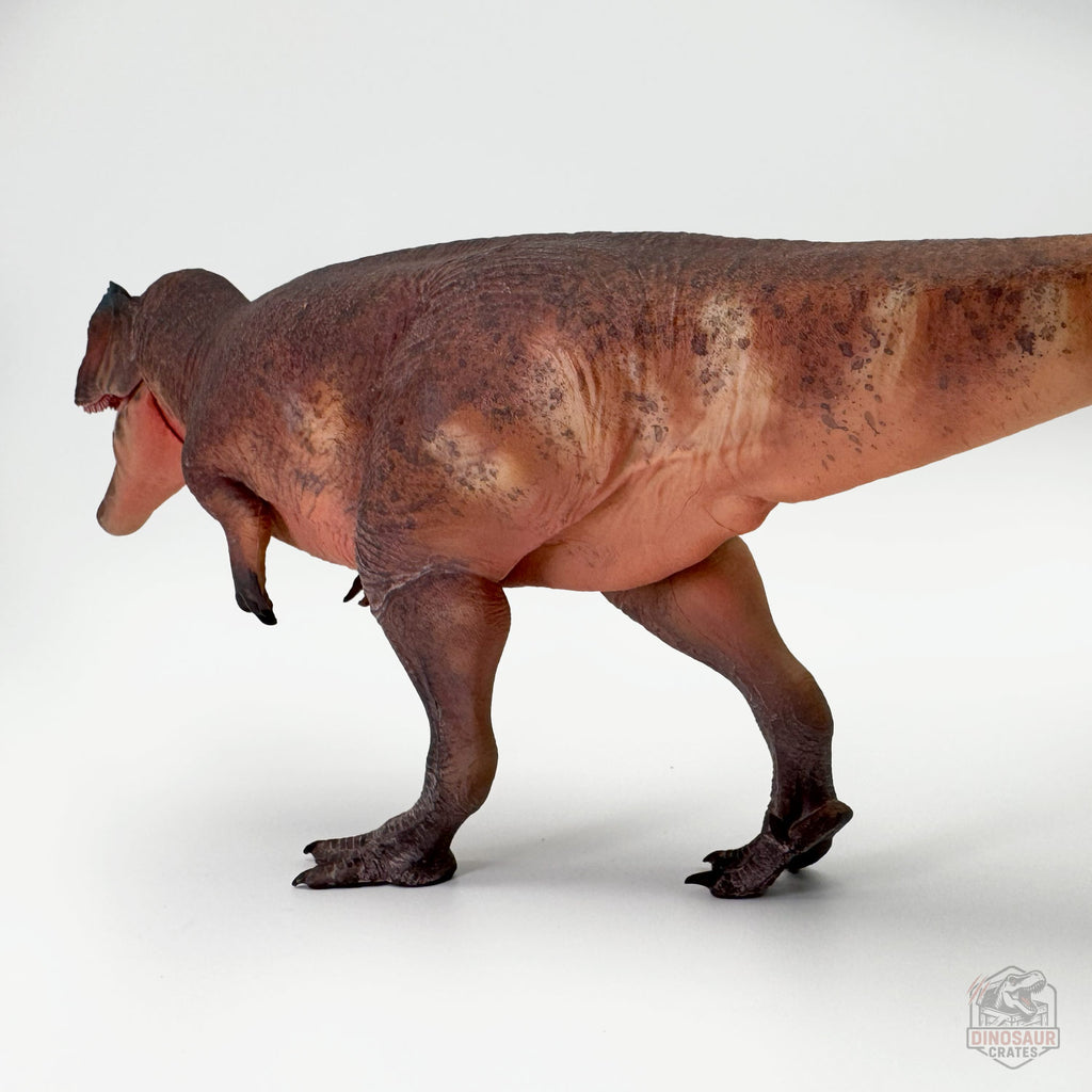 Haolonggood Giganotosaurus Dinosaur Figure