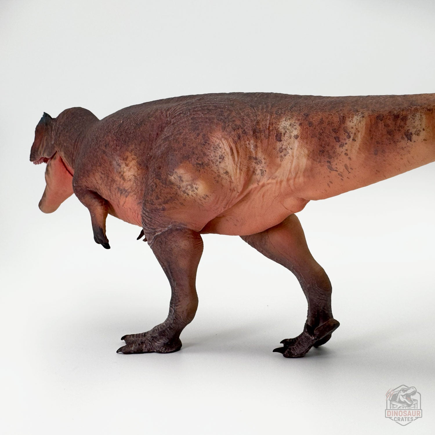 Haolonggood Giganotosaurus Dinosaur Figure