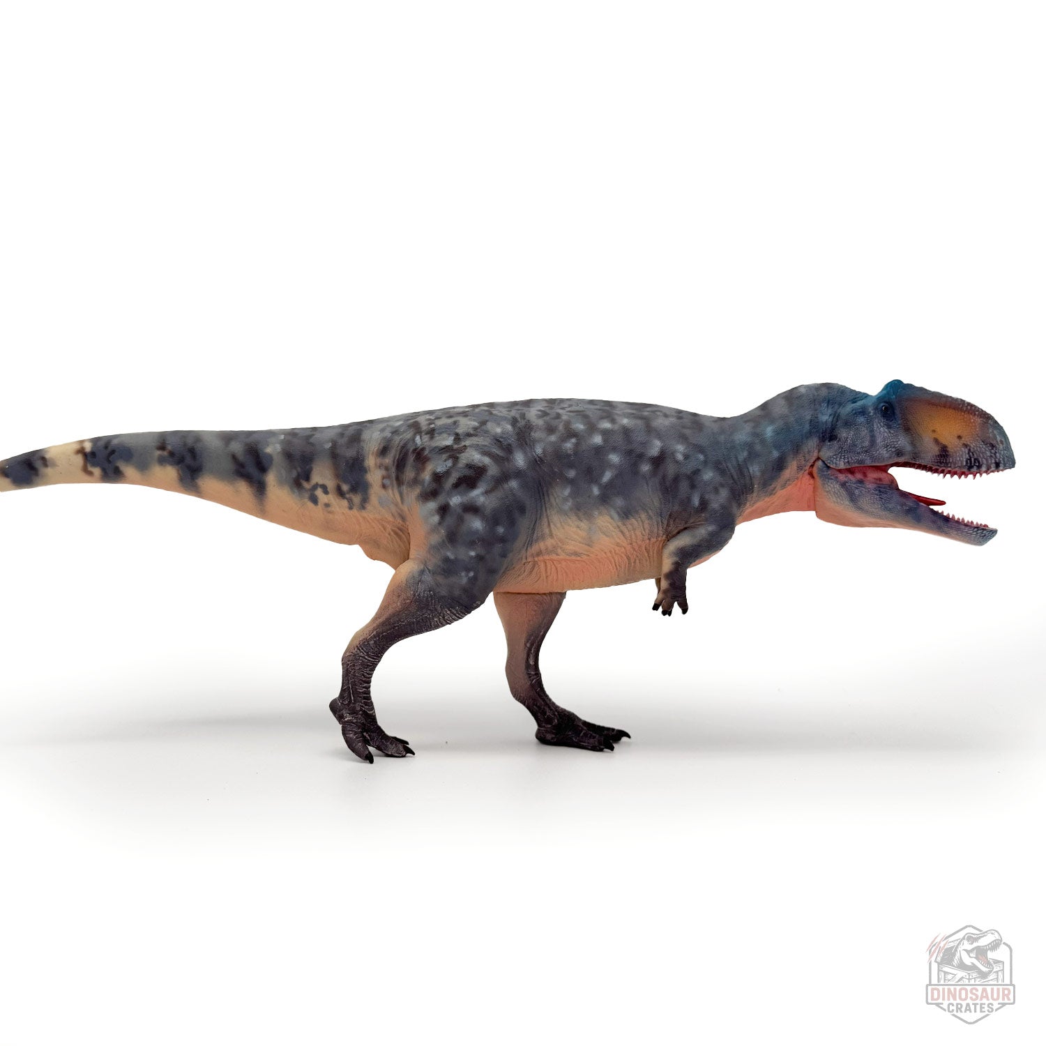 Haolonggood Giganotosaurus Dinosaur Figure