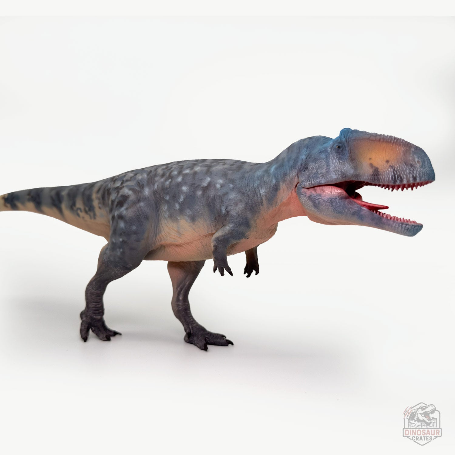 Haolonggood Giganotosaurus Dinosaur Figure