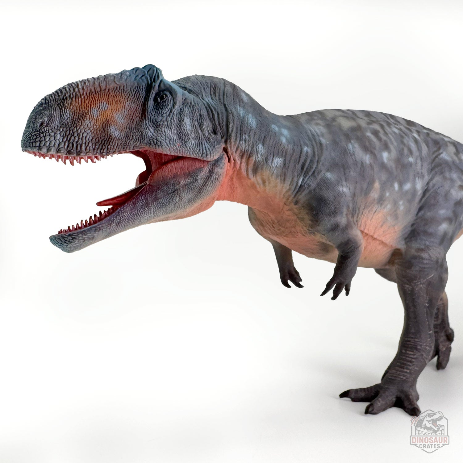 Haolonggood Giganotosaurus Dinosaur Figure