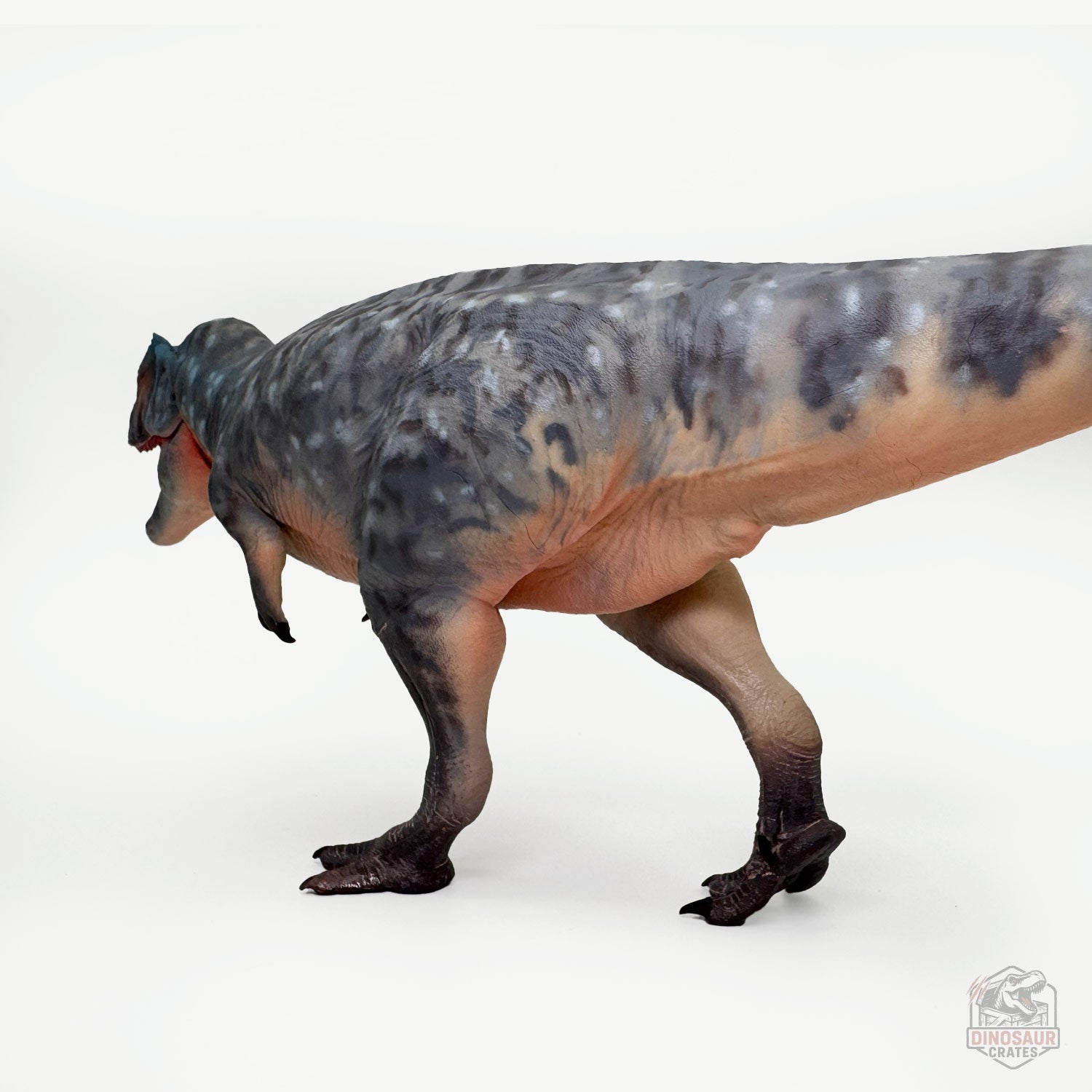 Haolonggood Giganotosaurus Dinosaur Figure