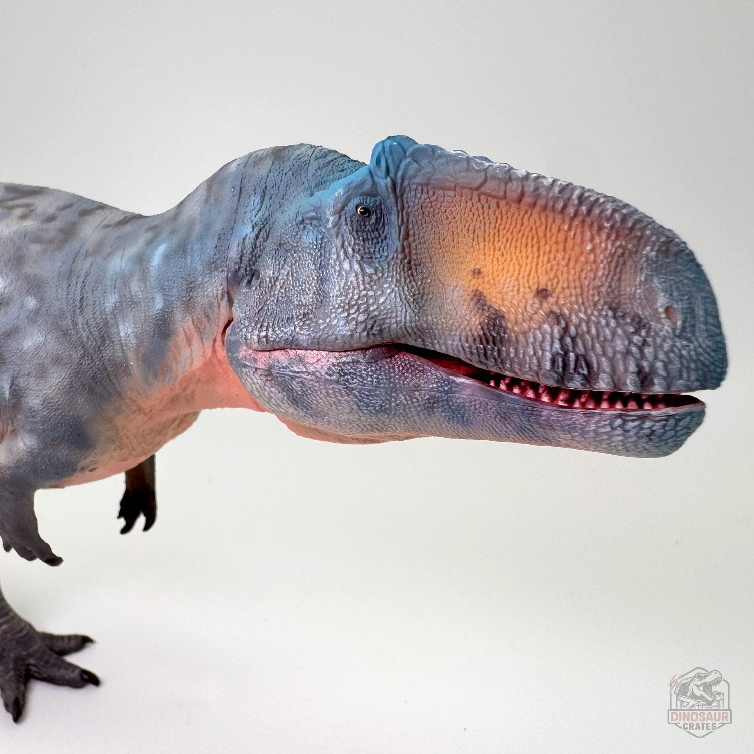 Haolonggood Giganotosaurus Dinosaur Figure