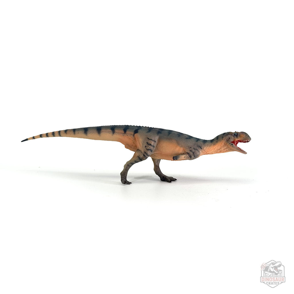 Haolonggood Majungasaurus Dinosaur Figure